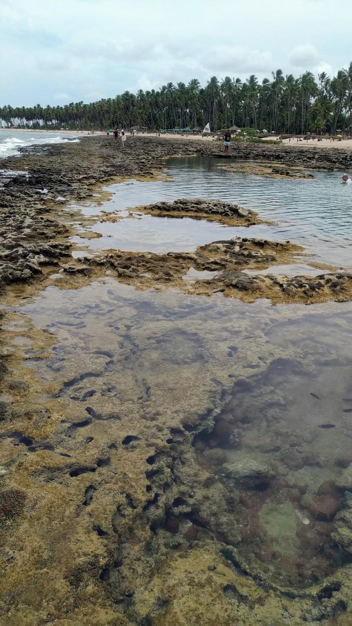 Flat Melhor Vista De Carneiros ريسيفي المظهر الخارجي الصورة